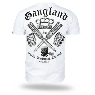 TS384-13